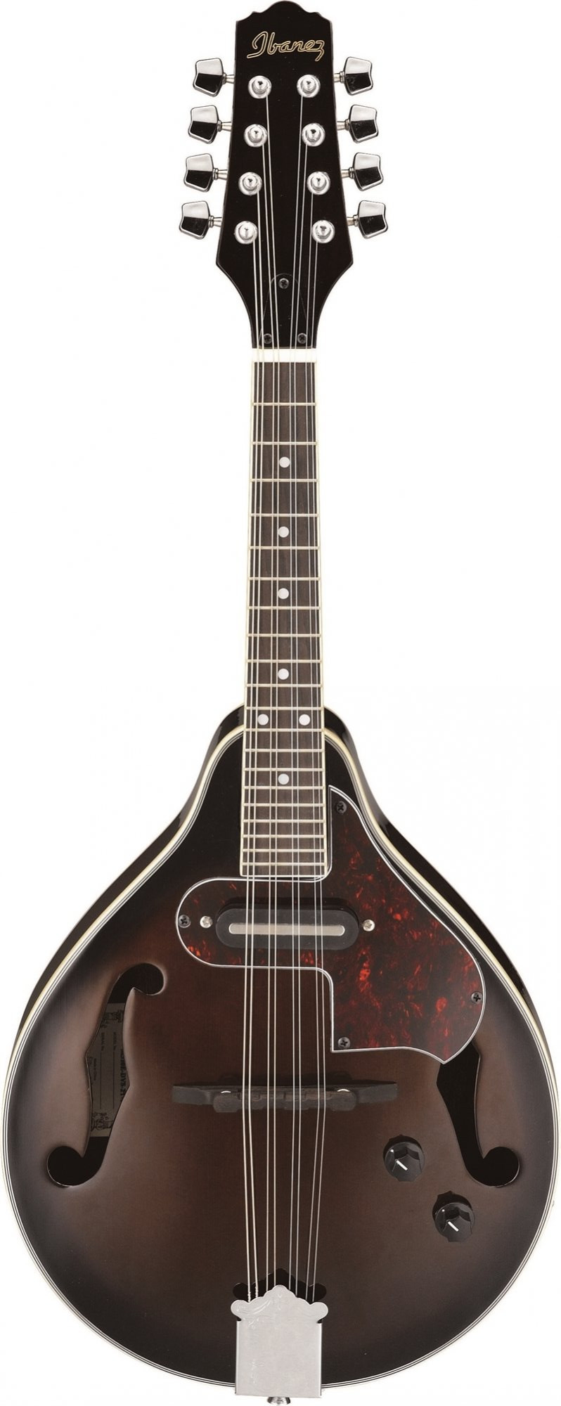 buy ibanez mandolin online price in India