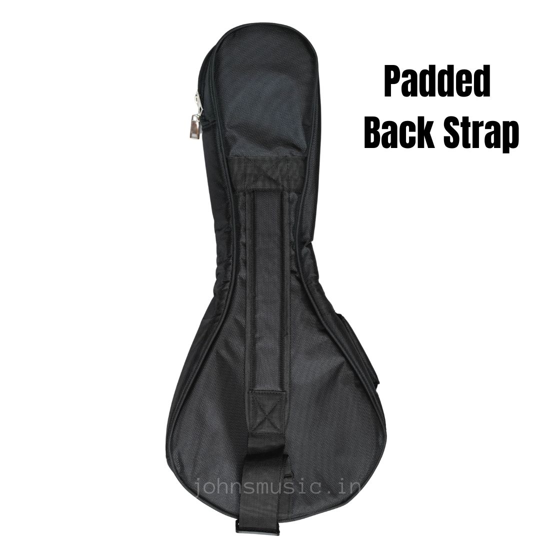 Mandolin bag heavy duty gig bag case online price in India