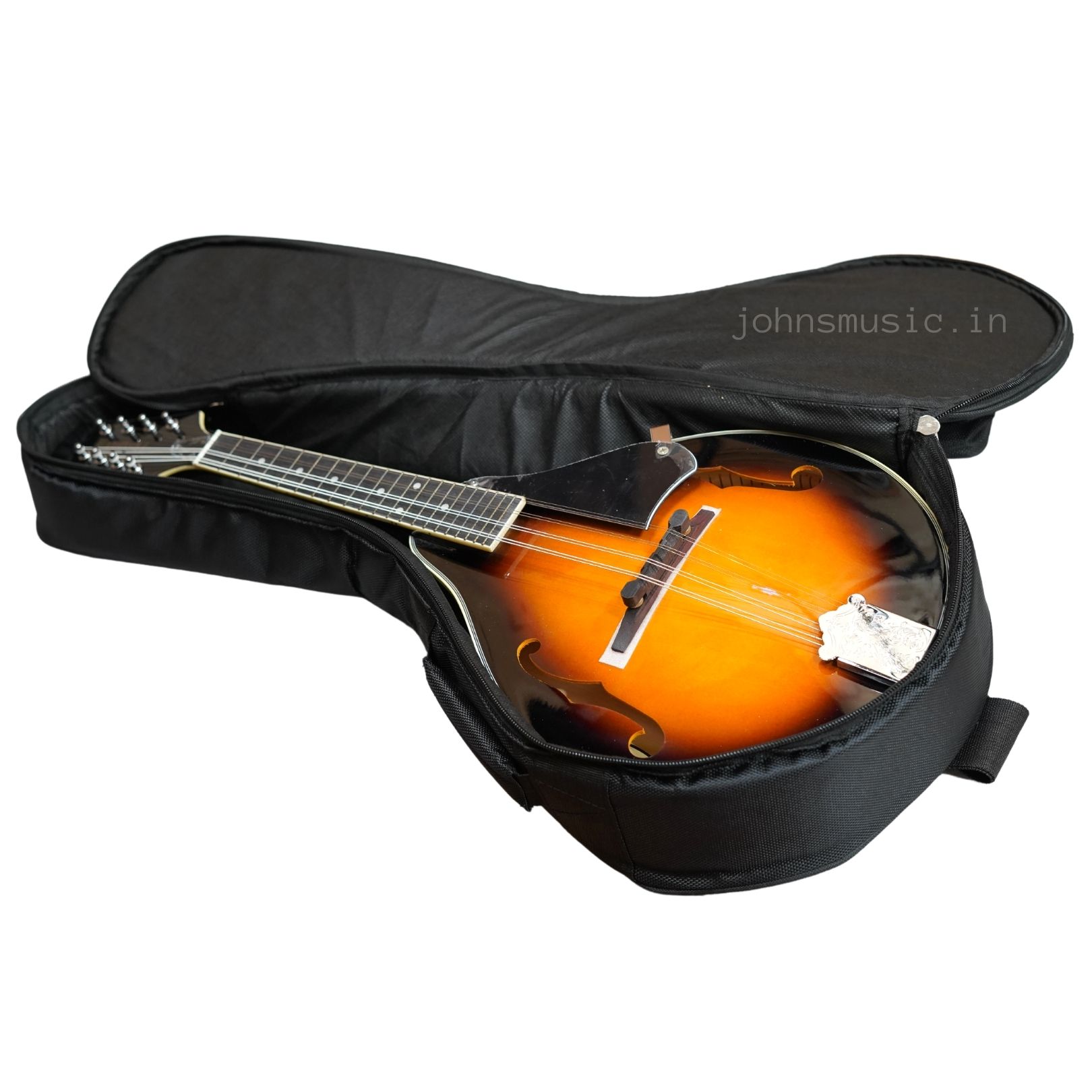 Mandolin bag heavy duty gig bag case online price in India