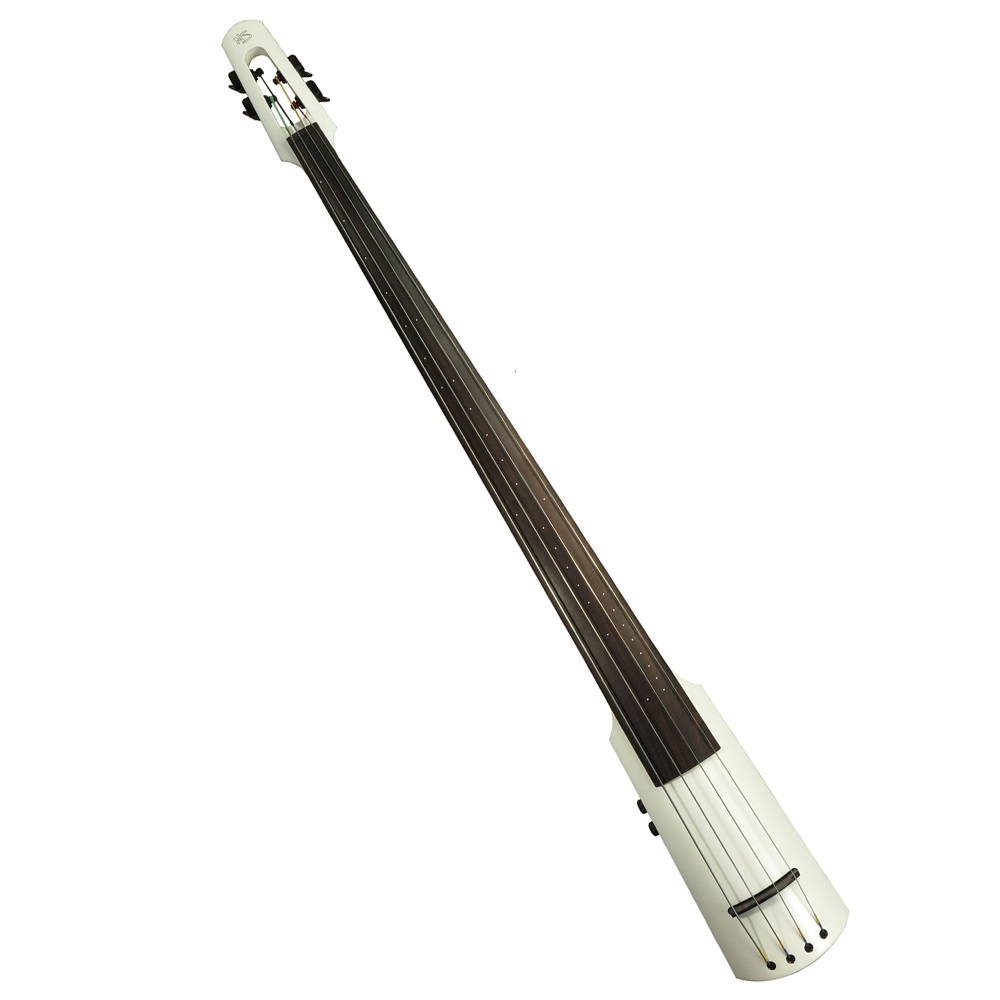 NS Design WAV4 Series Double Bass
