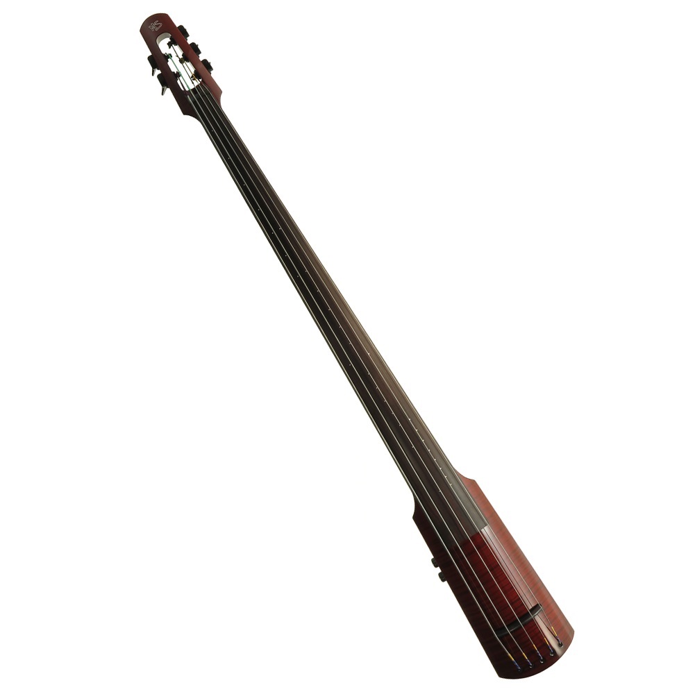 NS Design WAV4 Series Double Bass