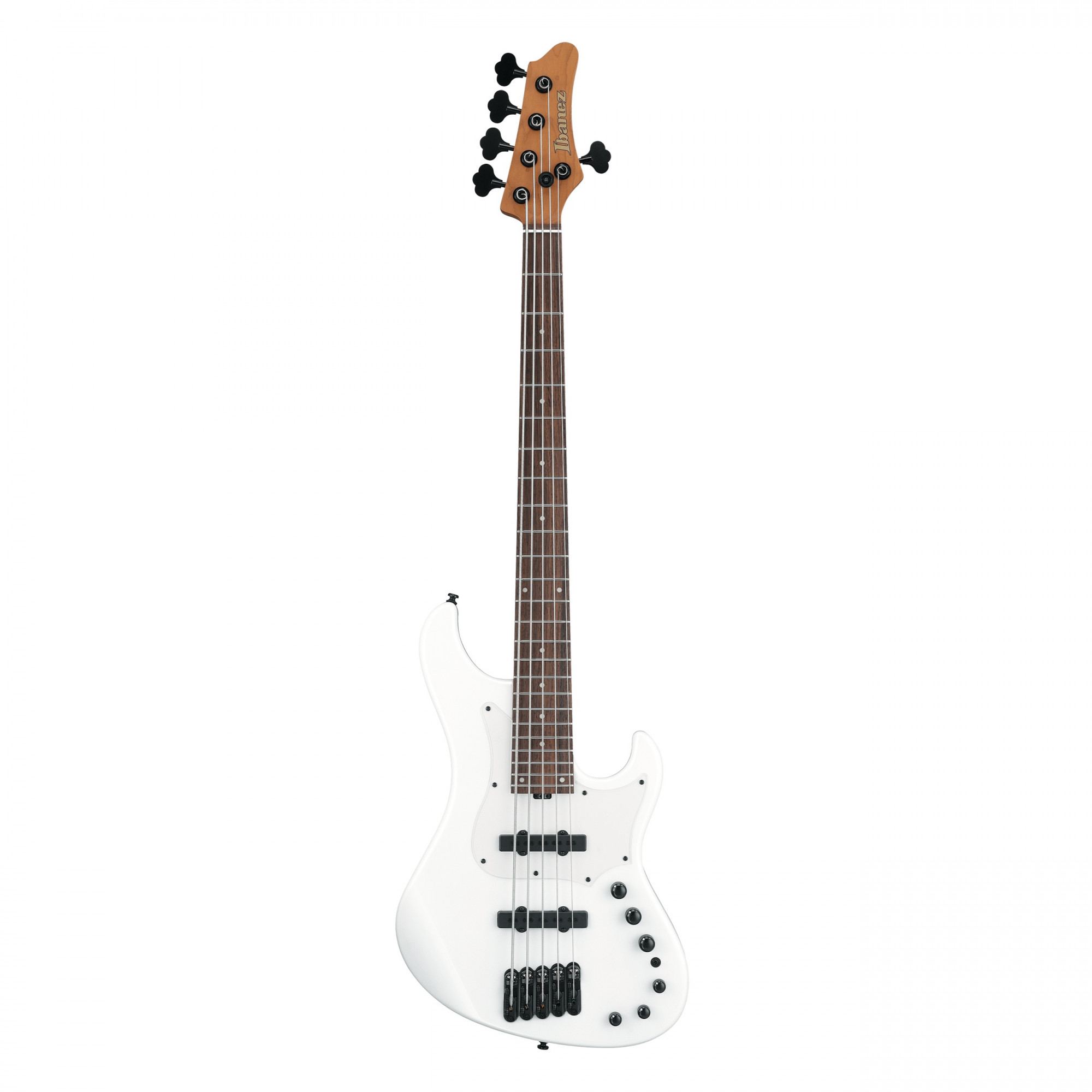 Ibanez MDM1005 5 String Electric Bass Guitar online in India at johnsmusicin at the lowest price Online price in India