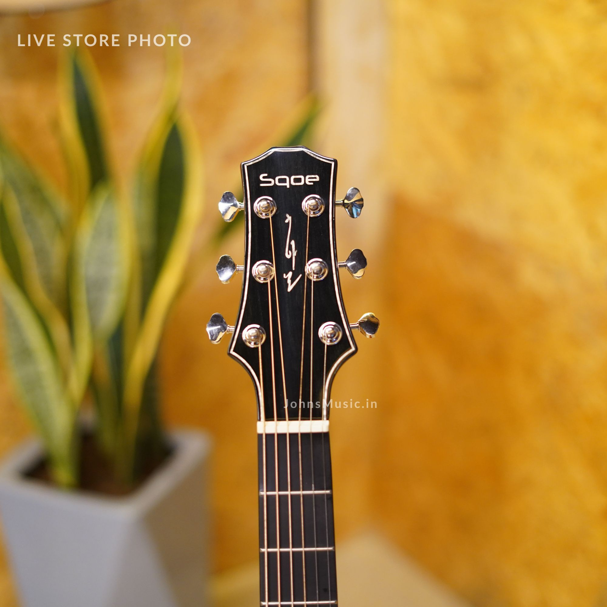 SQOE SQ-PFZL-FG Solid spruce top Acoustic Guitar Vintage Cherry red gloss online in India at johnsmusicin at the lowest price Online price in India