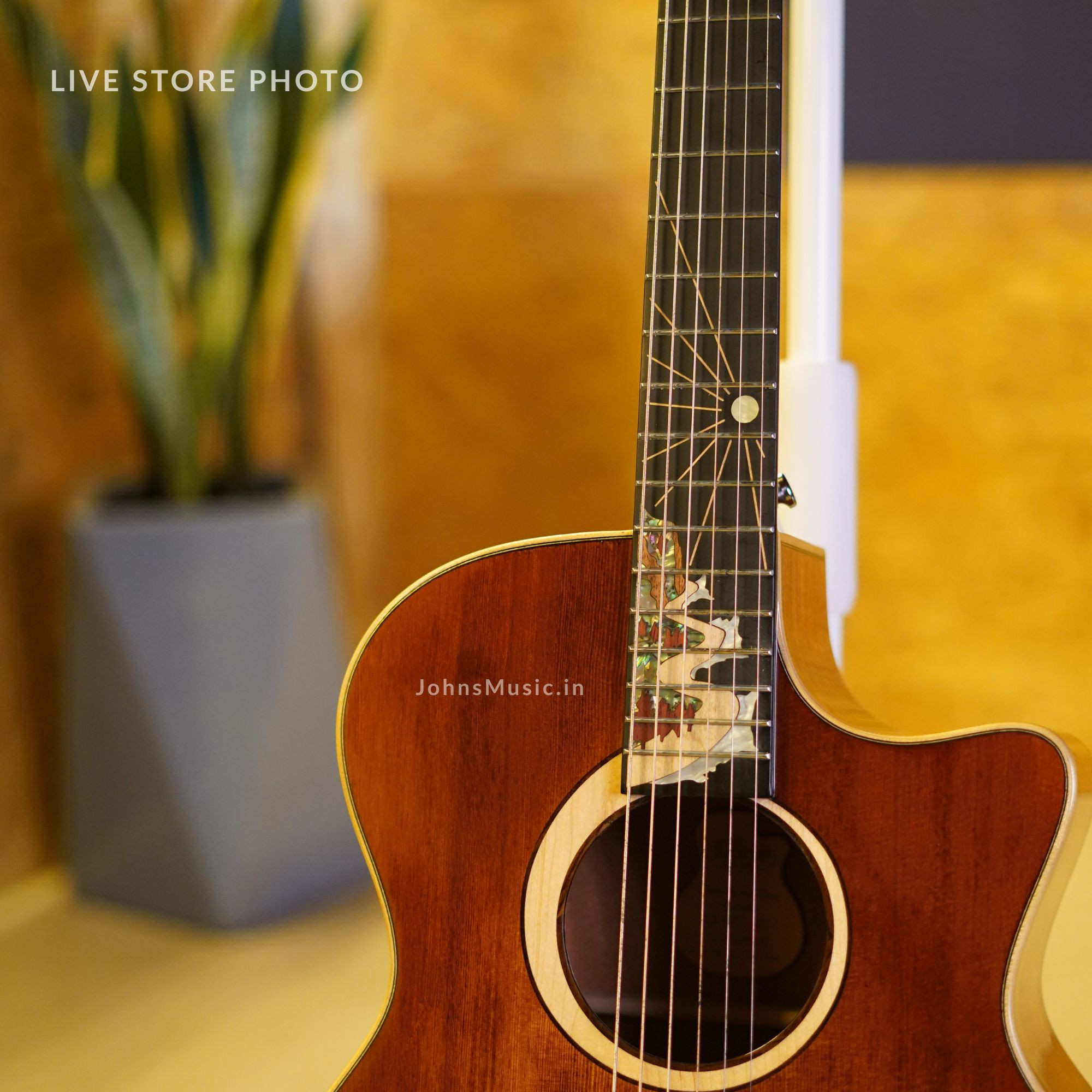 SQOE SQ-PFZL-FG Solid spruce top Acoustic Guitar Vintage Cherry red gloss online in India at johnsmusicin at the lowest price Online price in India