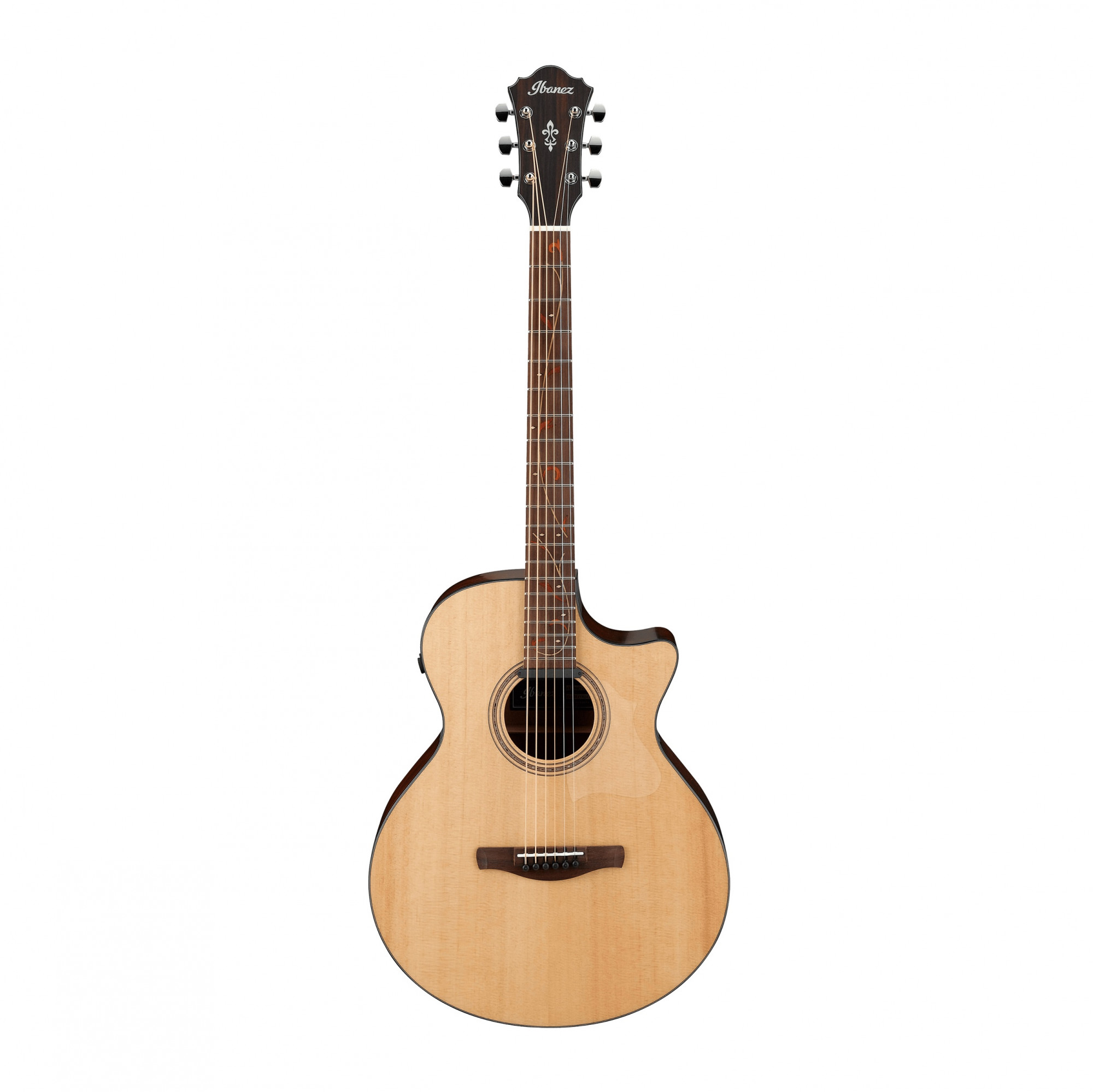 Ibanez AE275 AE Series Electro Acoustic Guitar online in India at johnsmusicin at the lowest price Online price in India