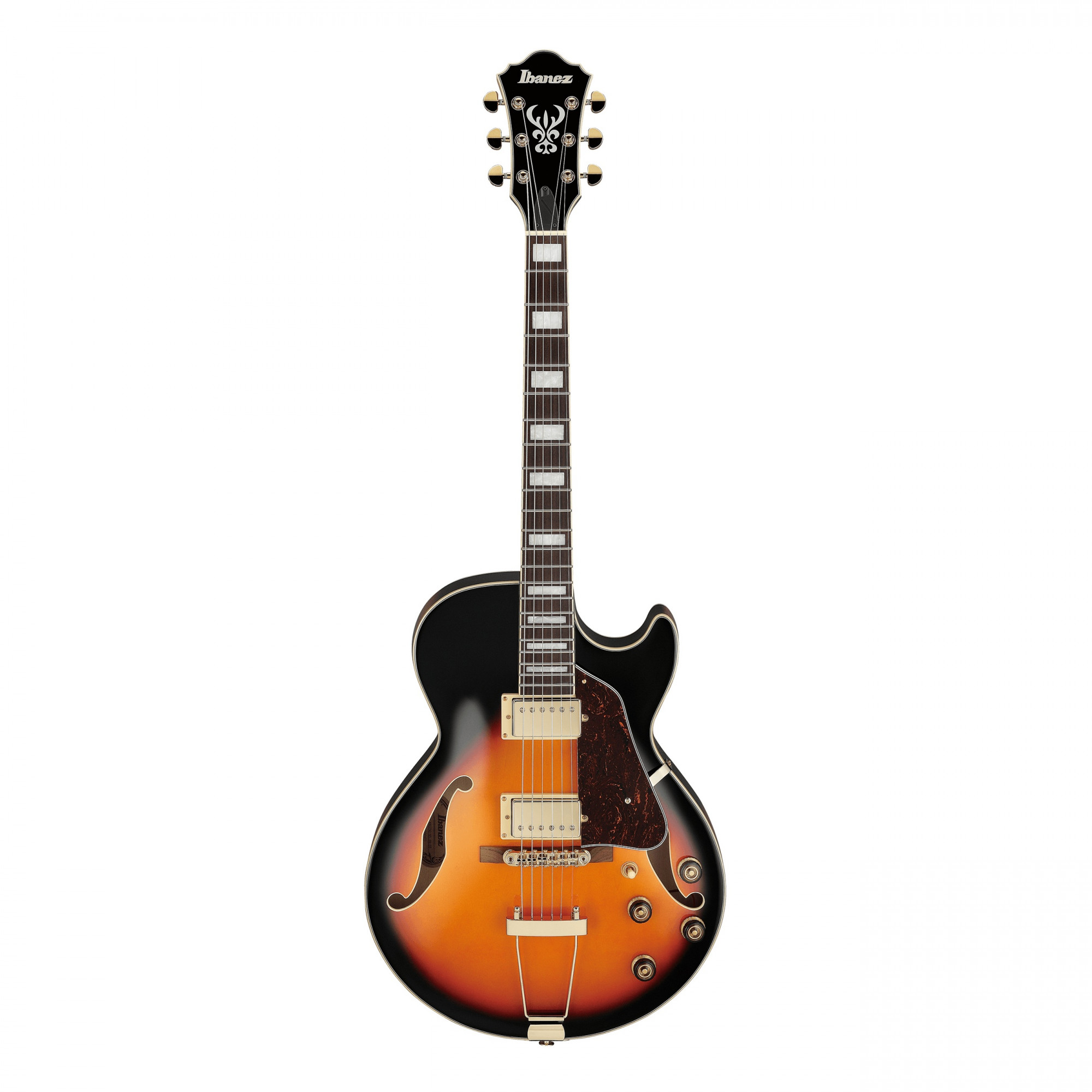 Ibanez AG75G BS Hollow body Electric Guitar online in India at johnsmusicin at the lowest price Online price in India