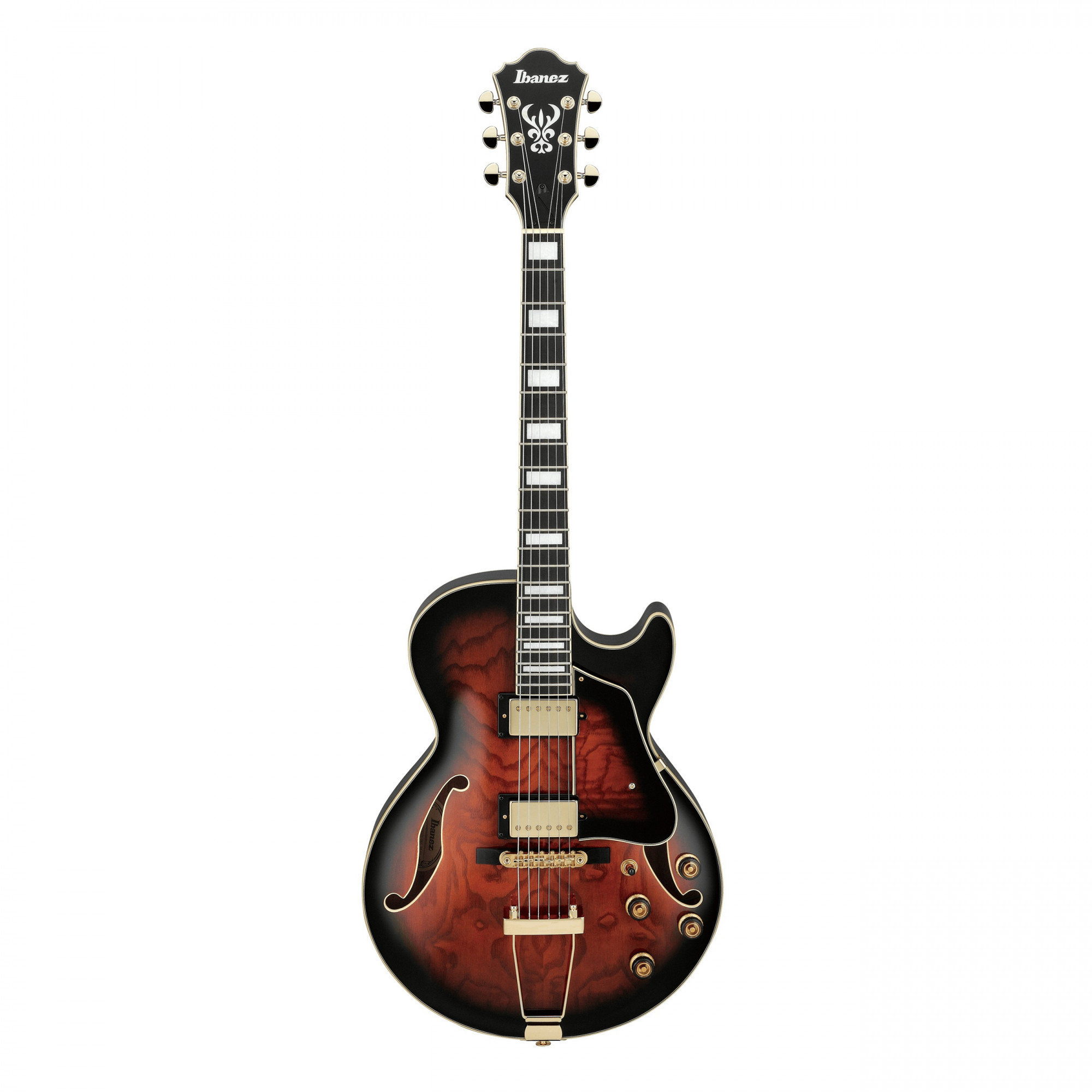 Ibanez AG95QA DBS Hollowbody Electric Guitar online in India at johnsmusicin at the lowest price Online price in India