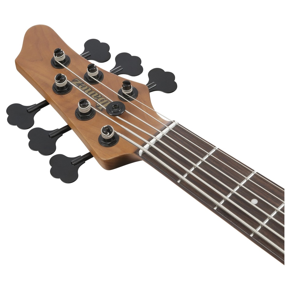 Ibanez MDM1606 NML 6 String Bass GIbanez MDM1606 NML 6 String Bass Guitar online in India at johnsmusicin at the lowestuitar online in India at johnsmusicin at the lowest price Online price in India