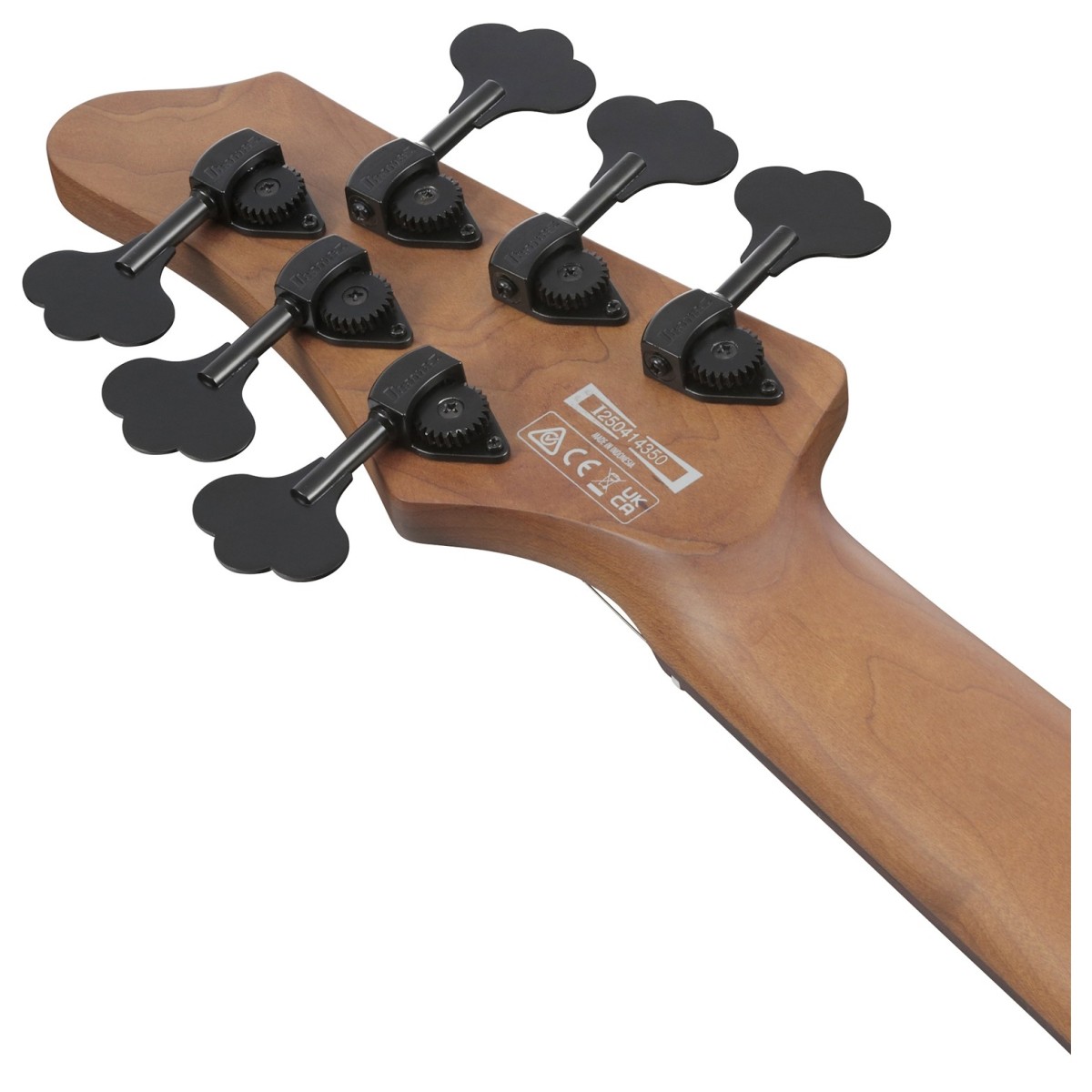 Ibanez MDM1606 NML 6 String Bass Guitar online in India at johnsmusicin at the lowest price Online price in India