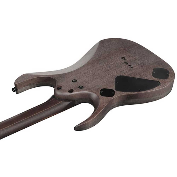 Ibanez RGD621AH Electric Guitar online in India at johnsmusicin at the lowest price Online price in India