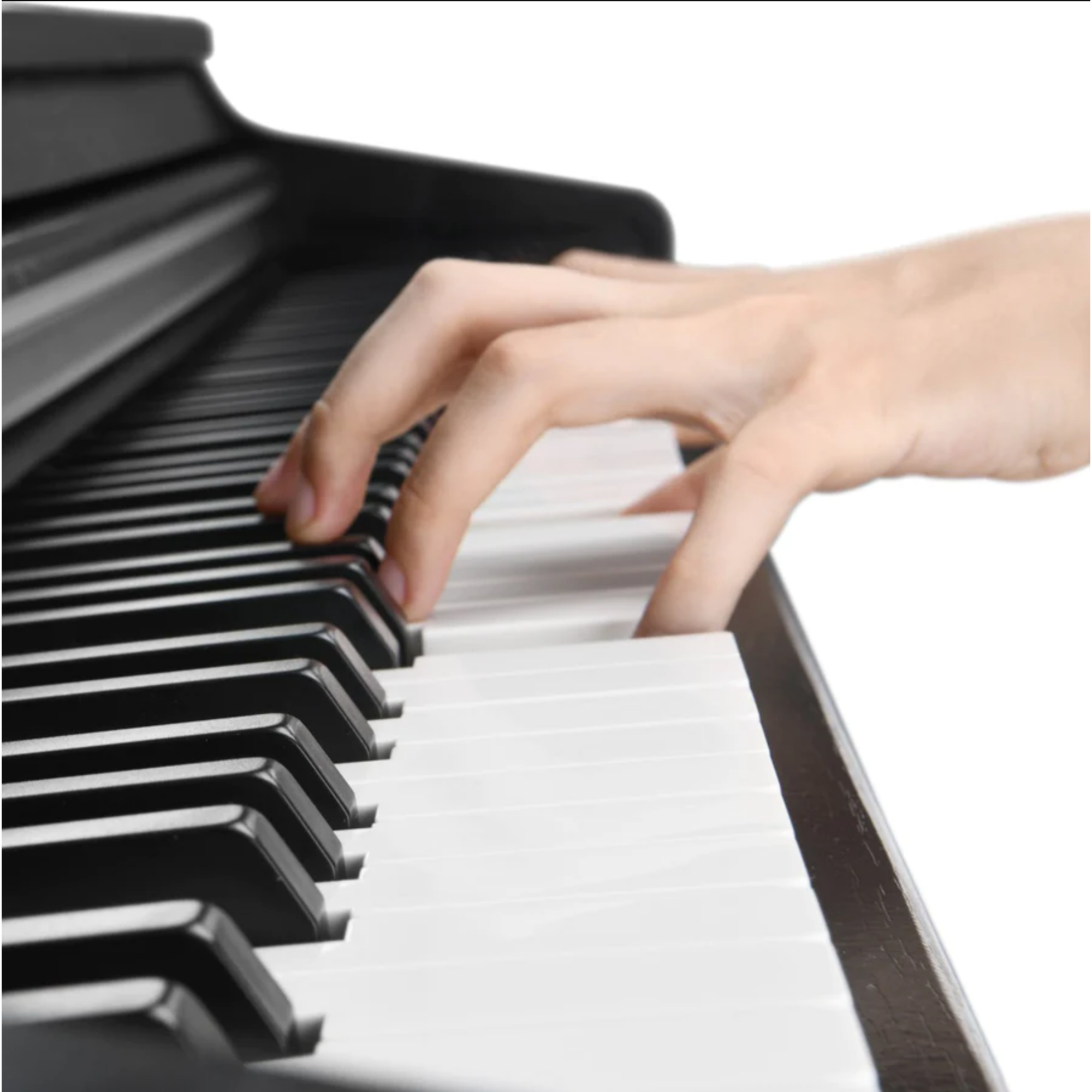 Donner DEP-10 Beginner Digital Piano Online price in India