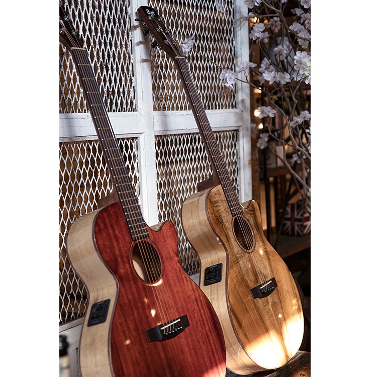 Cort SFX Myrtlewood Electro Acoustic Guitar Online price in India