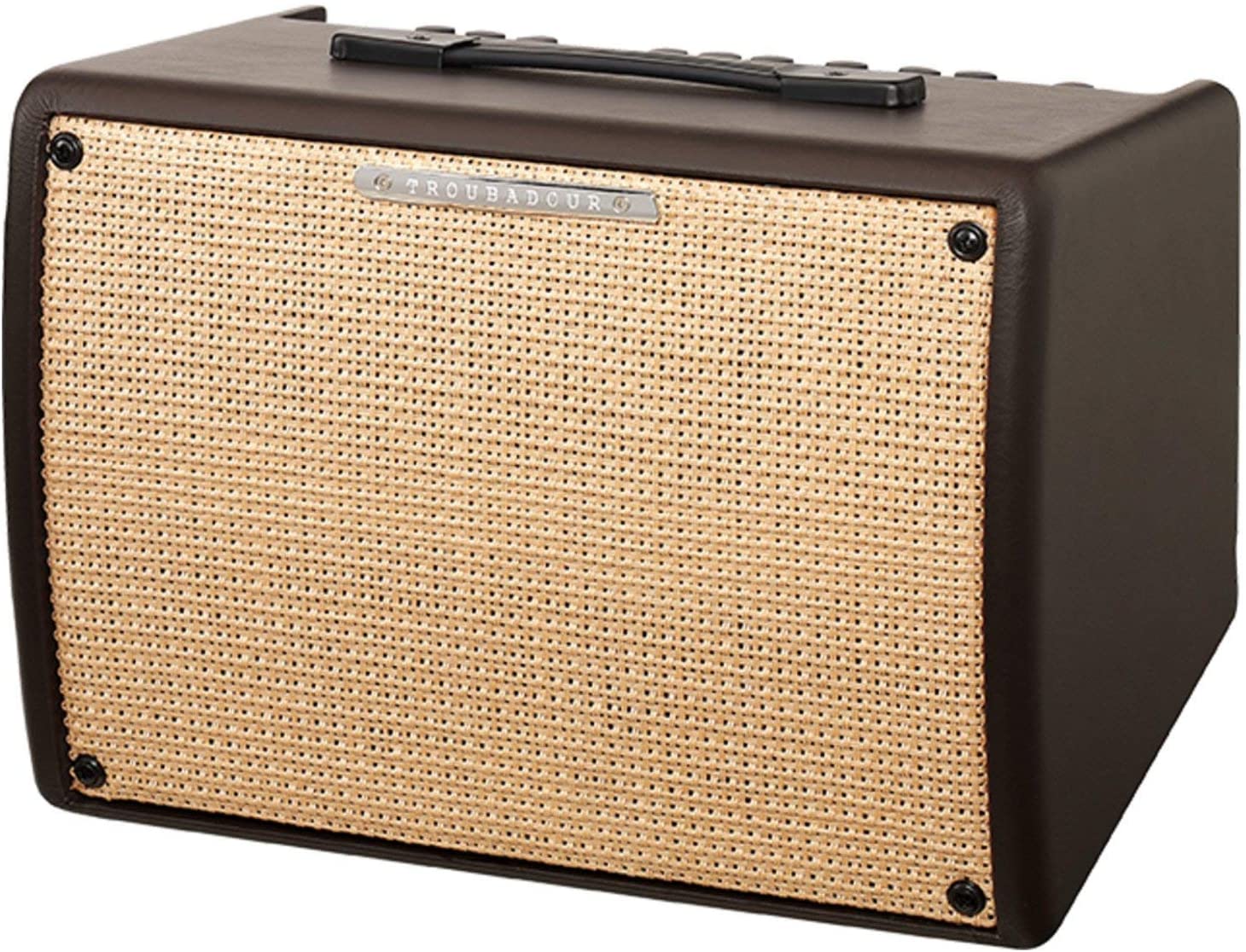 Ibanez T30II Acoustic Combo