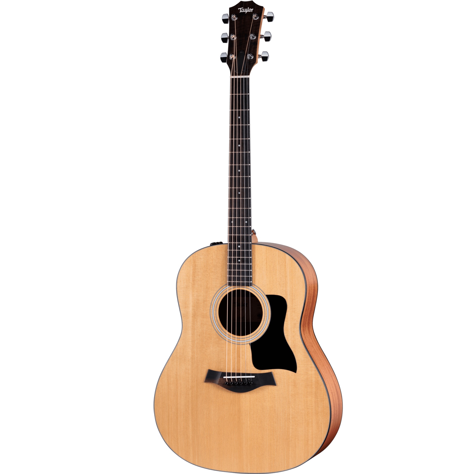 Taylor 117e Sapele Electro-Acoustic Guitar online in India at johnsmusicin at the lowest price Online price in India