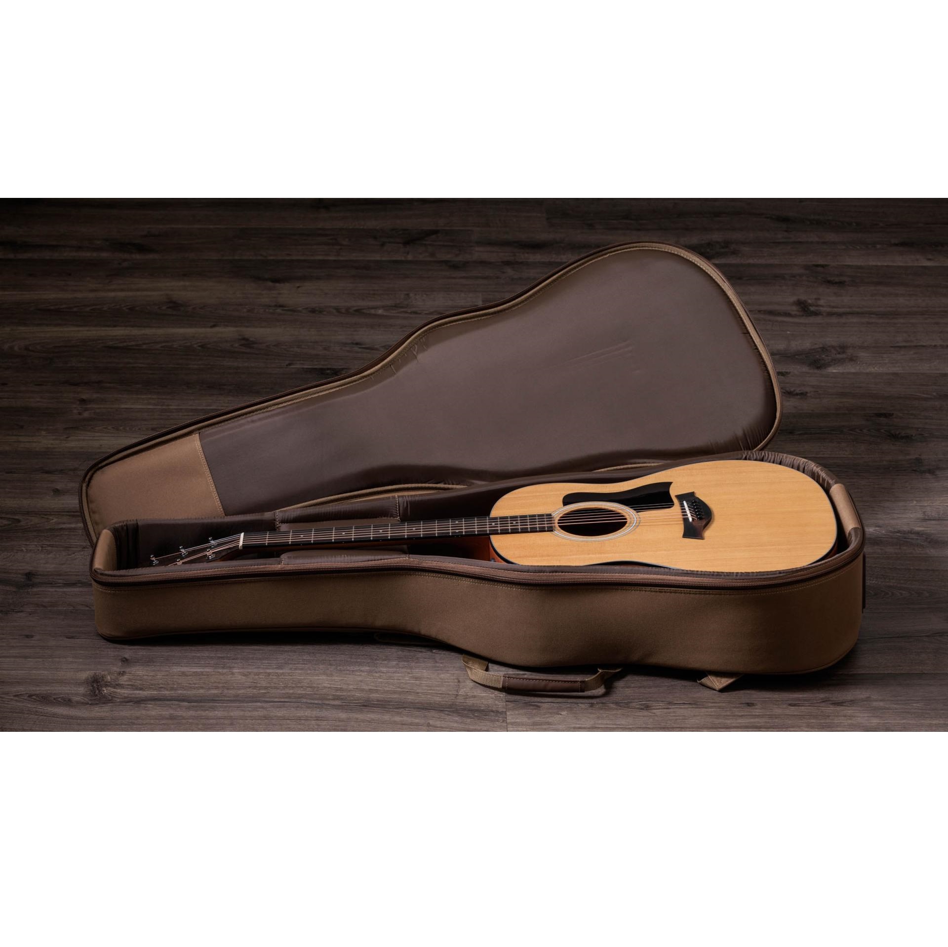 Taylor 117e Sapele Electro-Acoustic Guitar online in India at johnsmusicin at the lowest price Online price in India