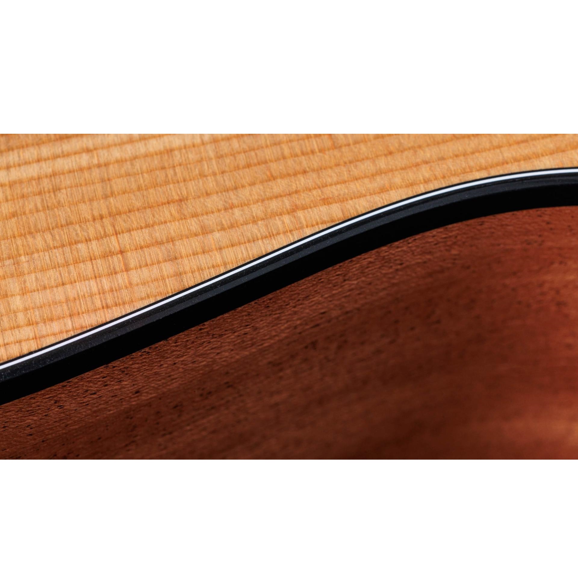 Taylor 117e Sapele Electro-Acoustic Guitar online in India at johnsmusicin at the lowest price Online price in India