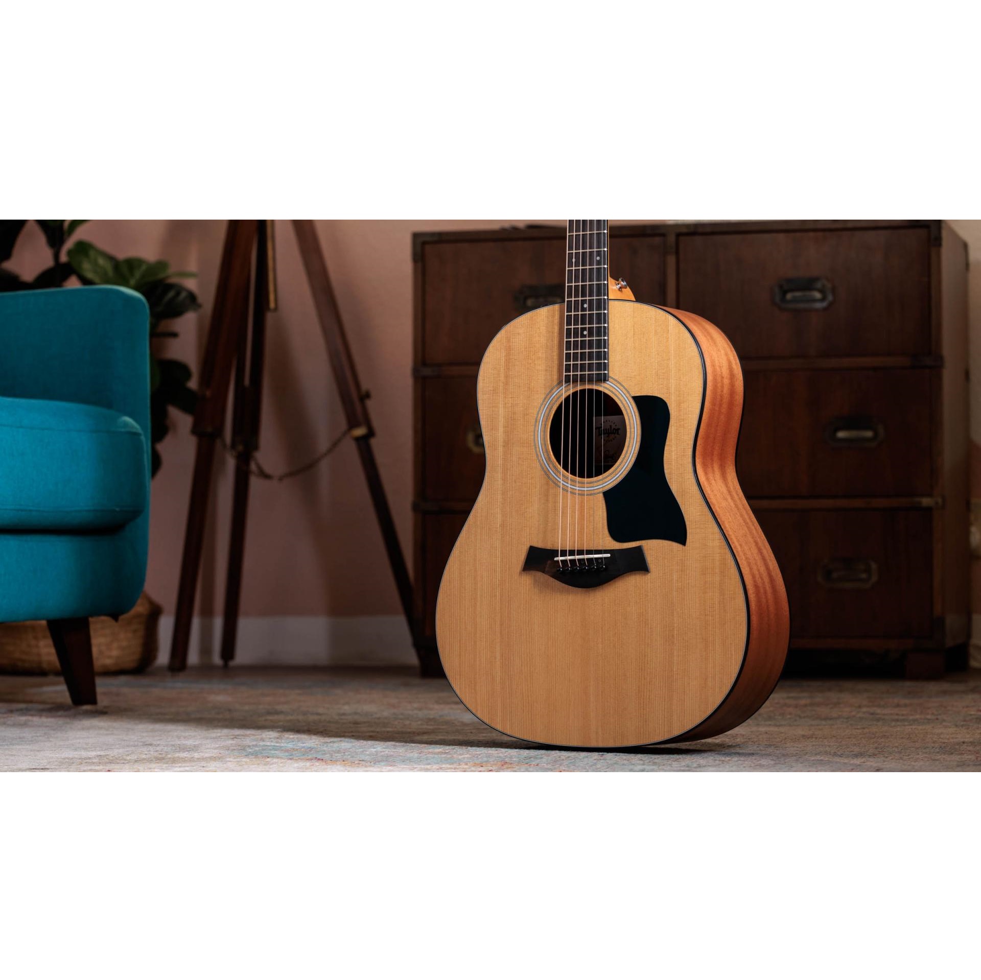 Taylor 117e Sapele Electro-Acoustic Guitar online in India at johnsmusicin at the lowest price Online price in India