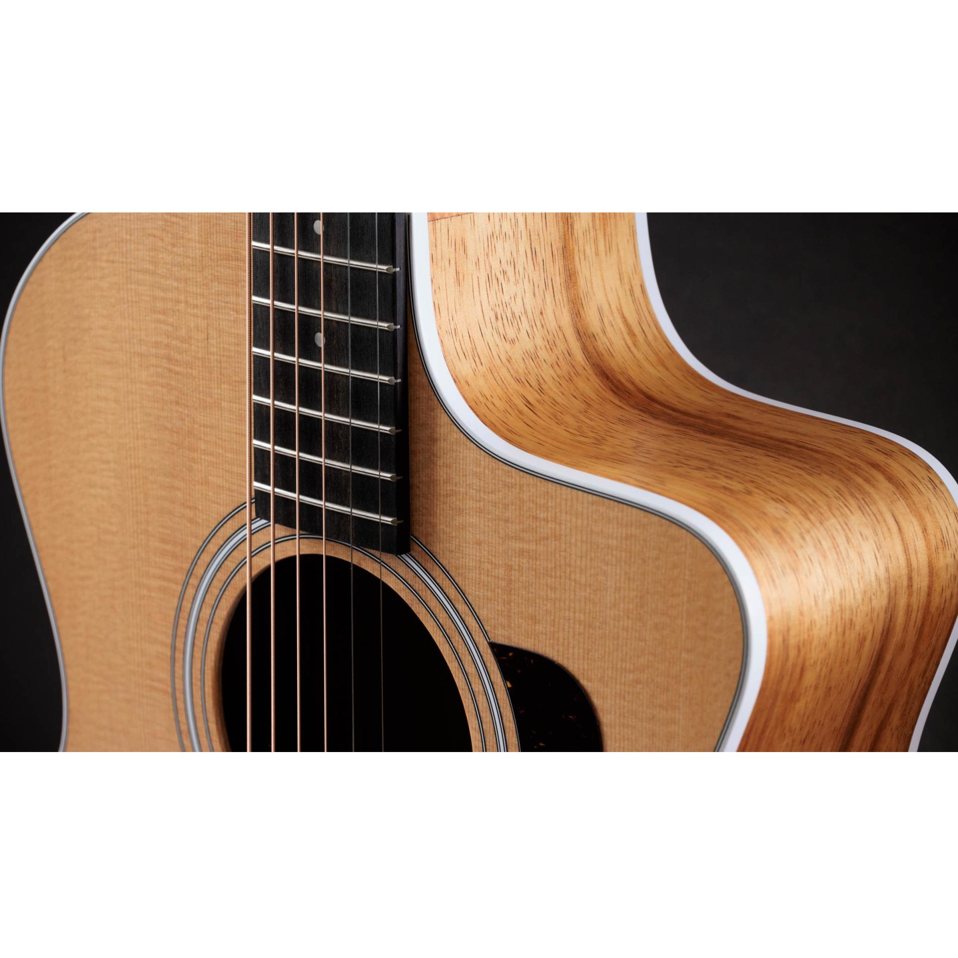 Taylor 214ce-K DLX Electro Acoustic Guitar online in India at johnsmusicin at the lowest price Online price in India