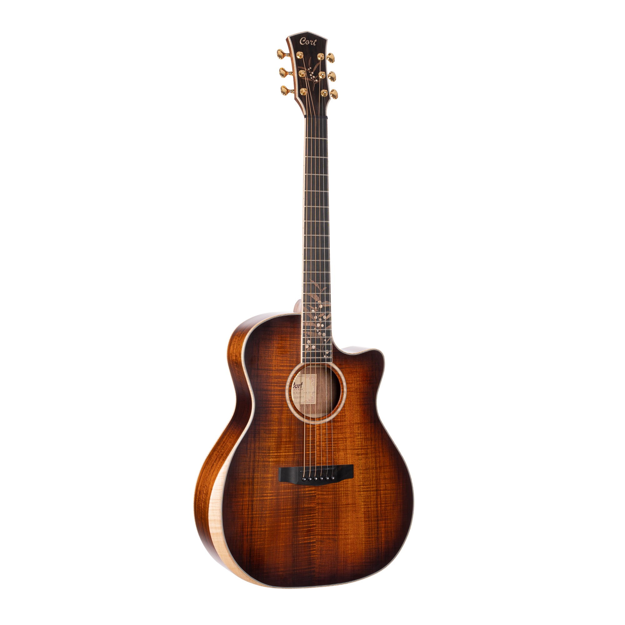 Cort The Black Tree Limited Edition Electro Acoustic Guitar Online price in India