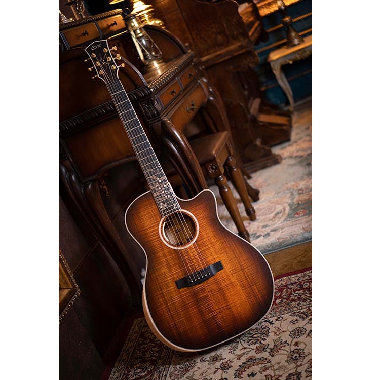 Cort The Black Tree Limited Edition Electro Acoustic Guitar Online price in India