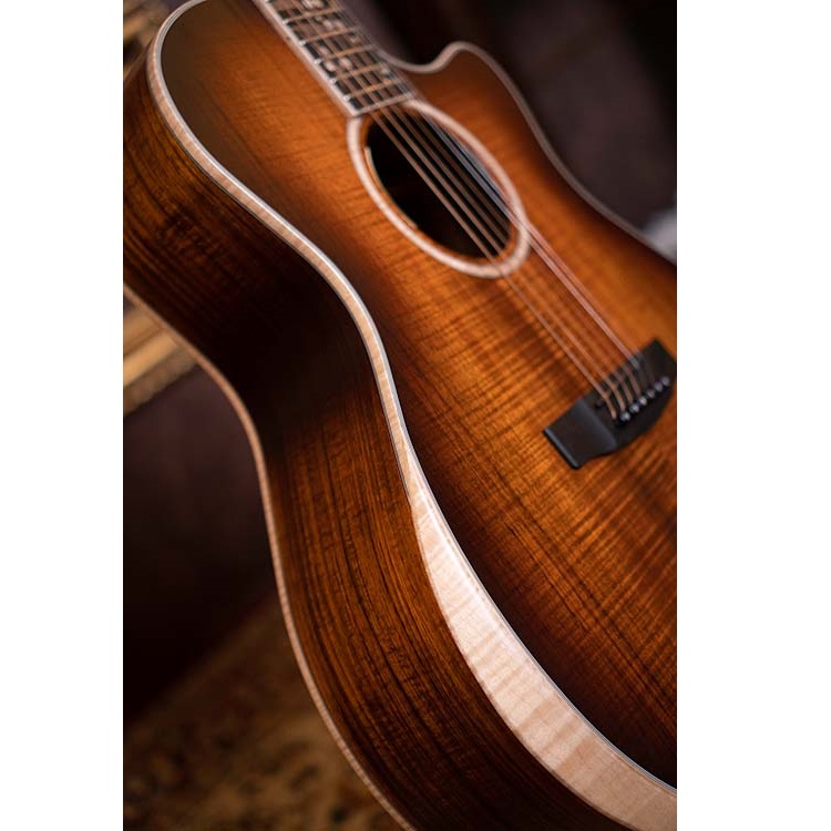 Cort The Black Tree Limited Edition Electro Acoustic Guitar Online price in India