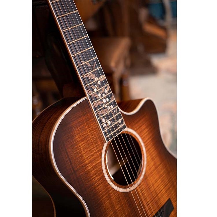 Cort The Black Tree Limited Edition Electro Acoustic Guitar Online price in India