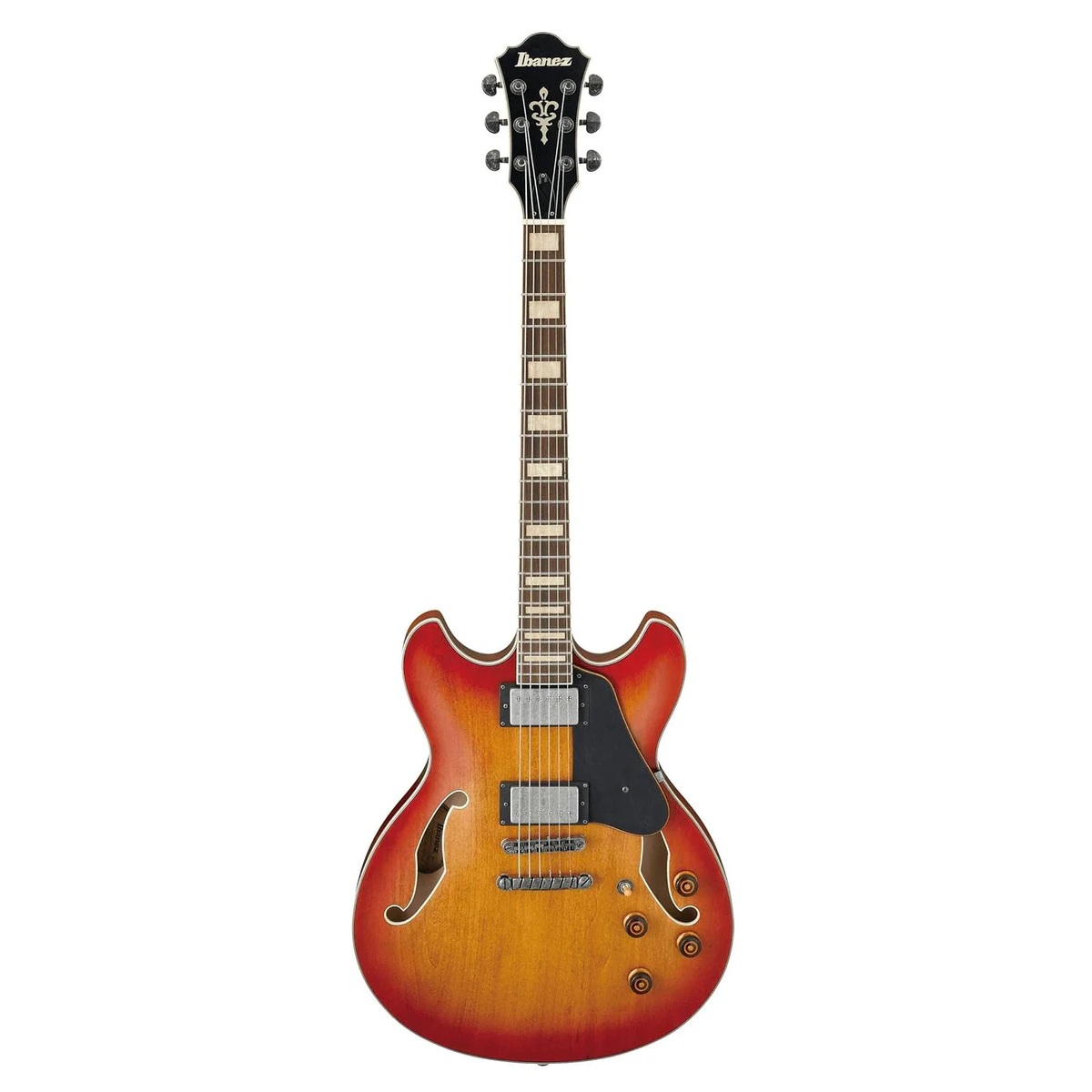 Ibanez ASV73 Semi Hollow Electric Guitar online in India at johnsmusicin at the lowest price Online price in India
