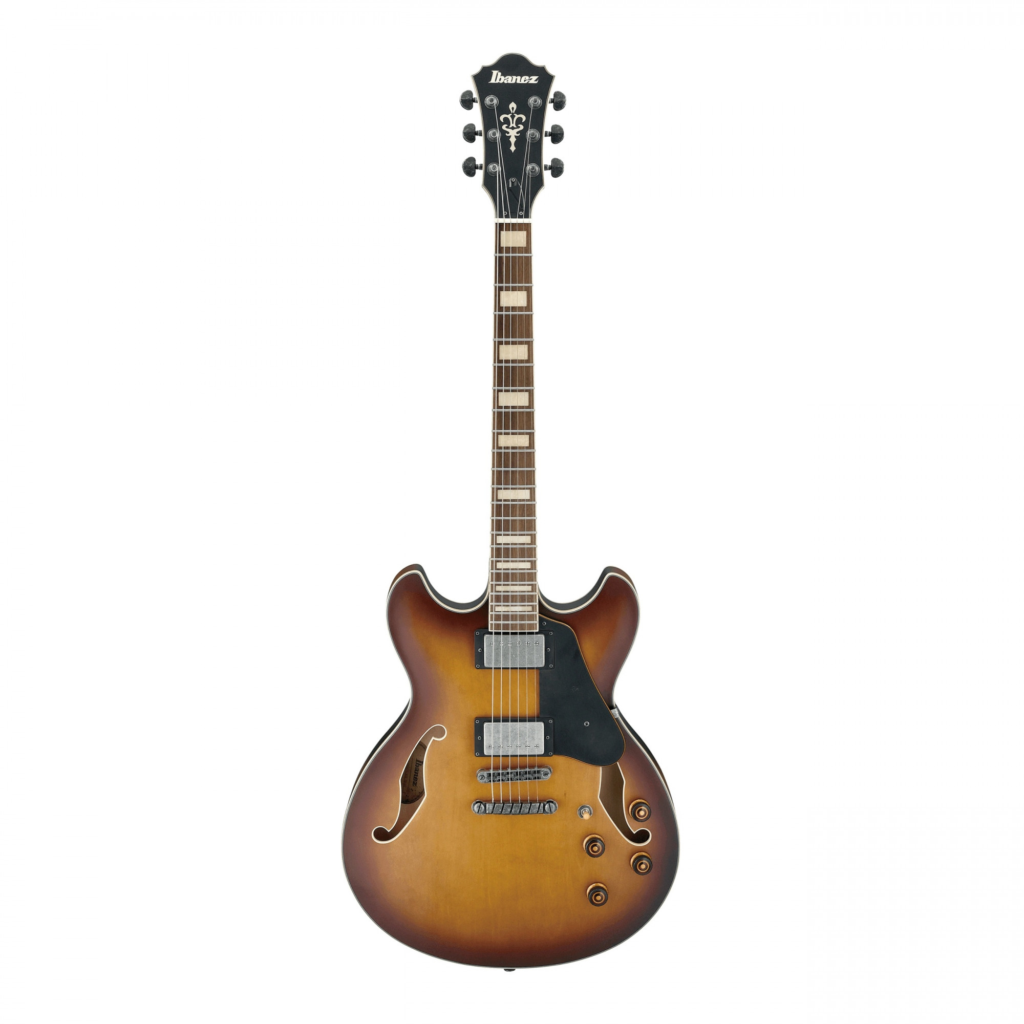 Ibanez ASV73 Semi Hollow Electric Guitar online in India at johnsmusicin at the lowest price Online price in India