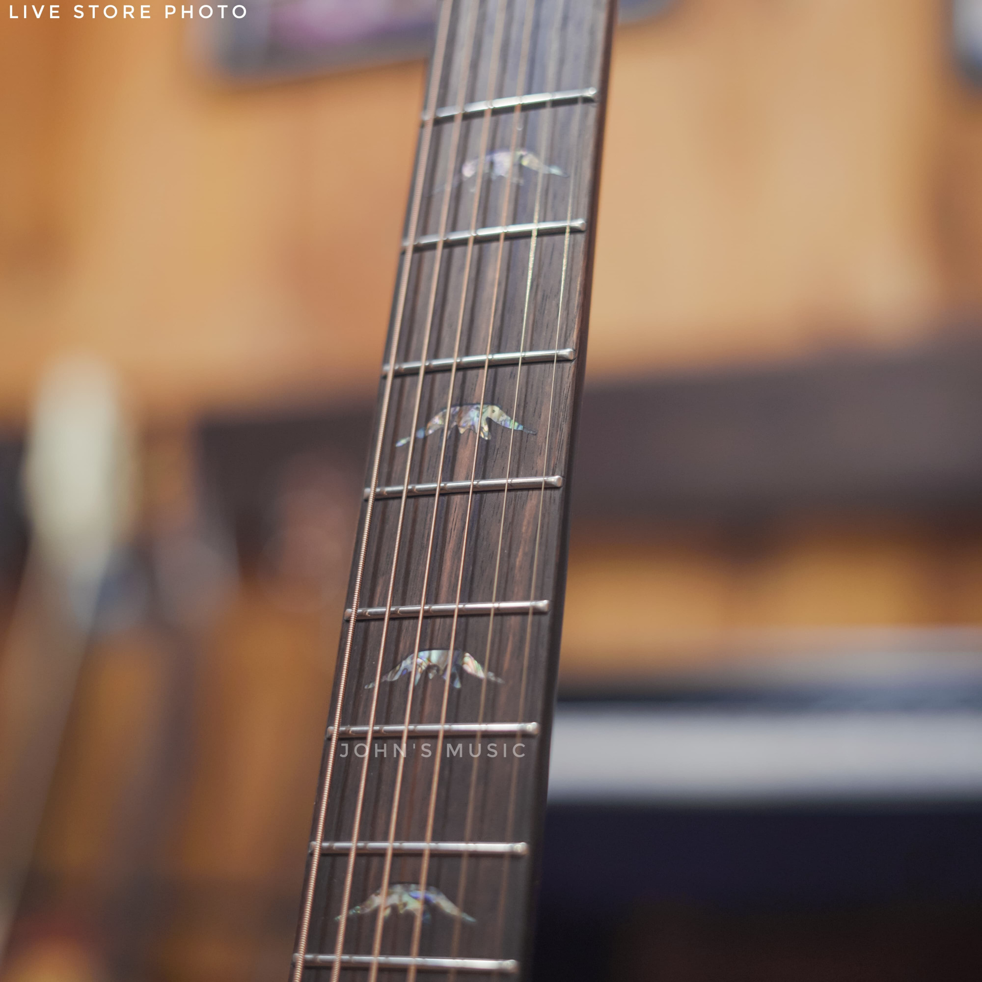 Bromo BAR5ce acoustic guitar online price in India