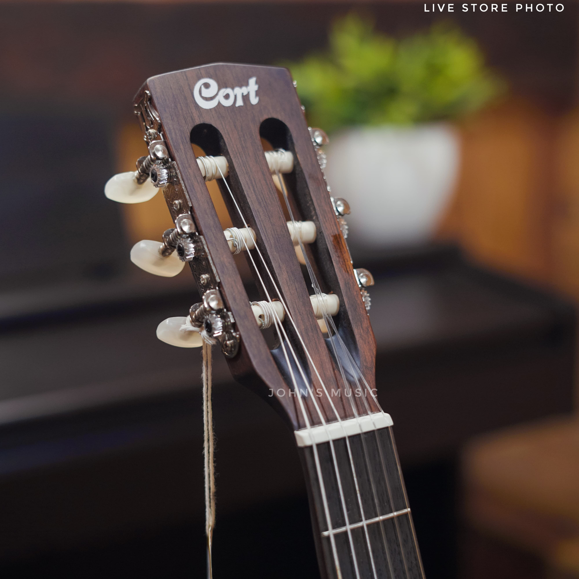 Cort CEC1 Electro-Acoustic Classical Guitar in India