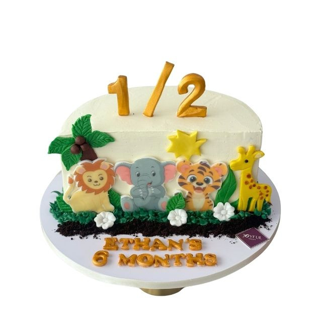 Half Birthday Cake