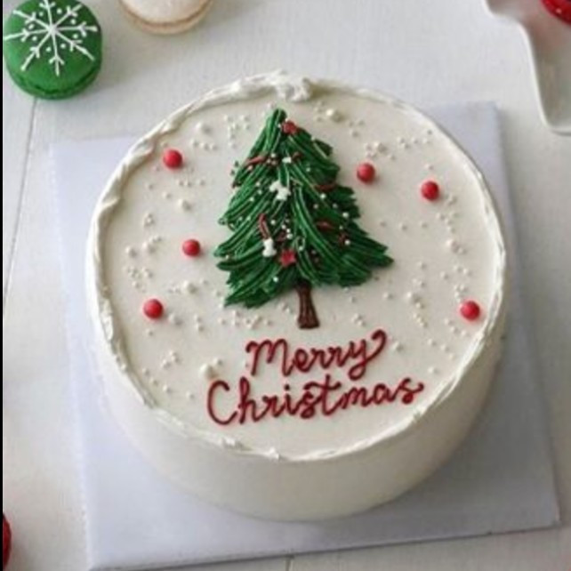 Merry Christmas Cake