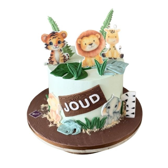 Wild One Cake