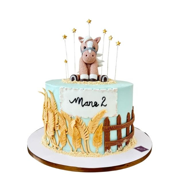 Horse Pony Cake