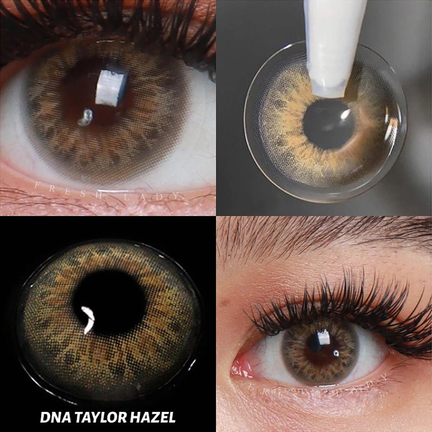 Taylor brown hazel