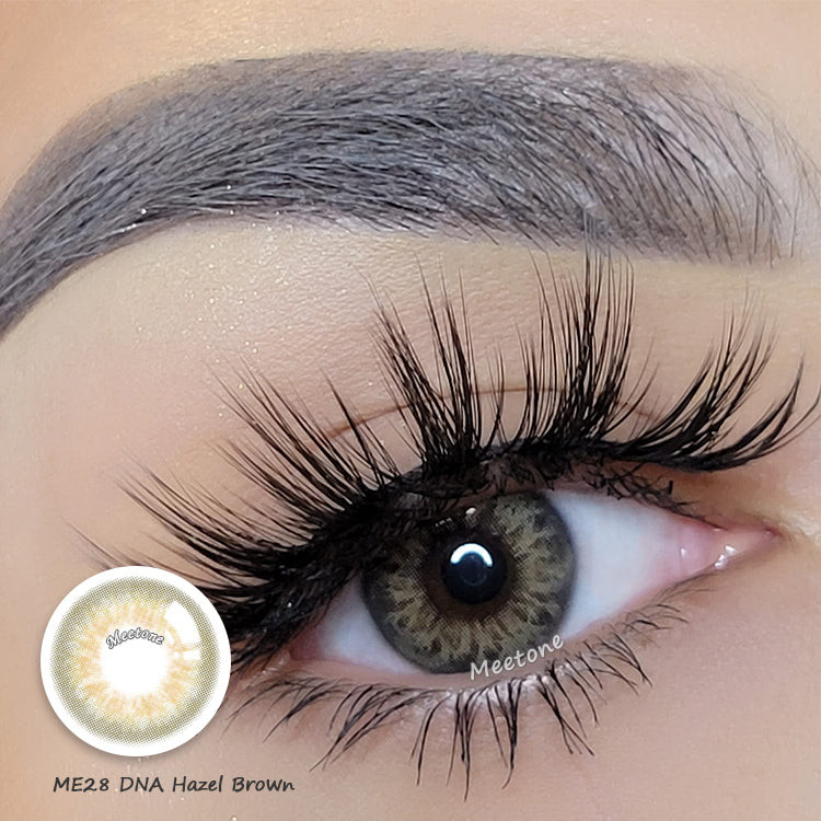 Taylor brown hazel