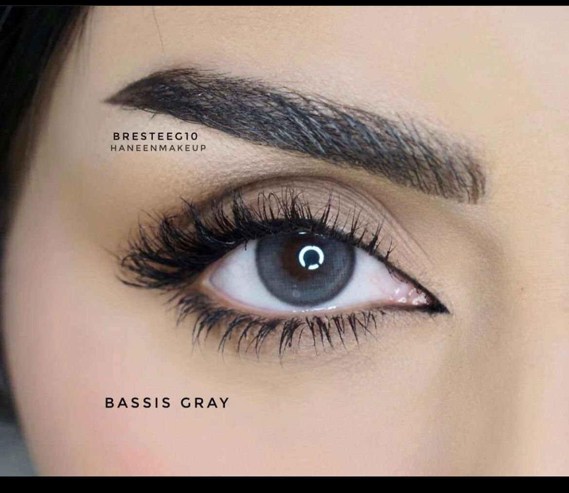 Bassia gray