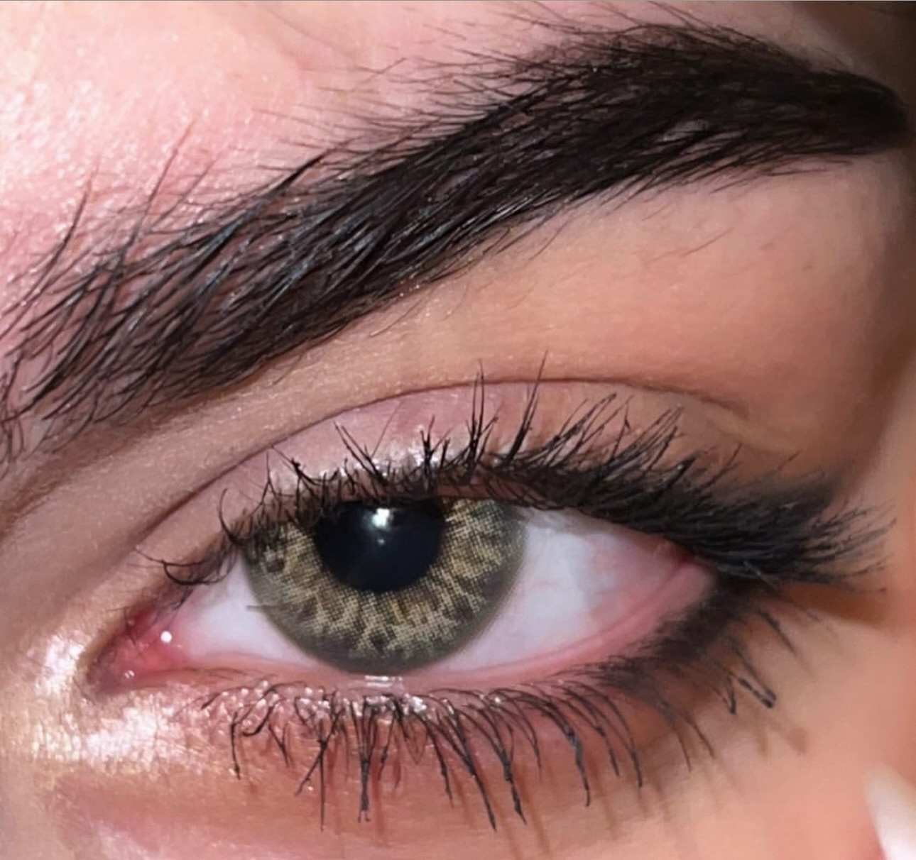 Taylor brown hazel