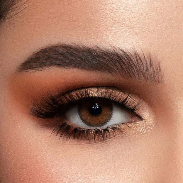 Latin brown