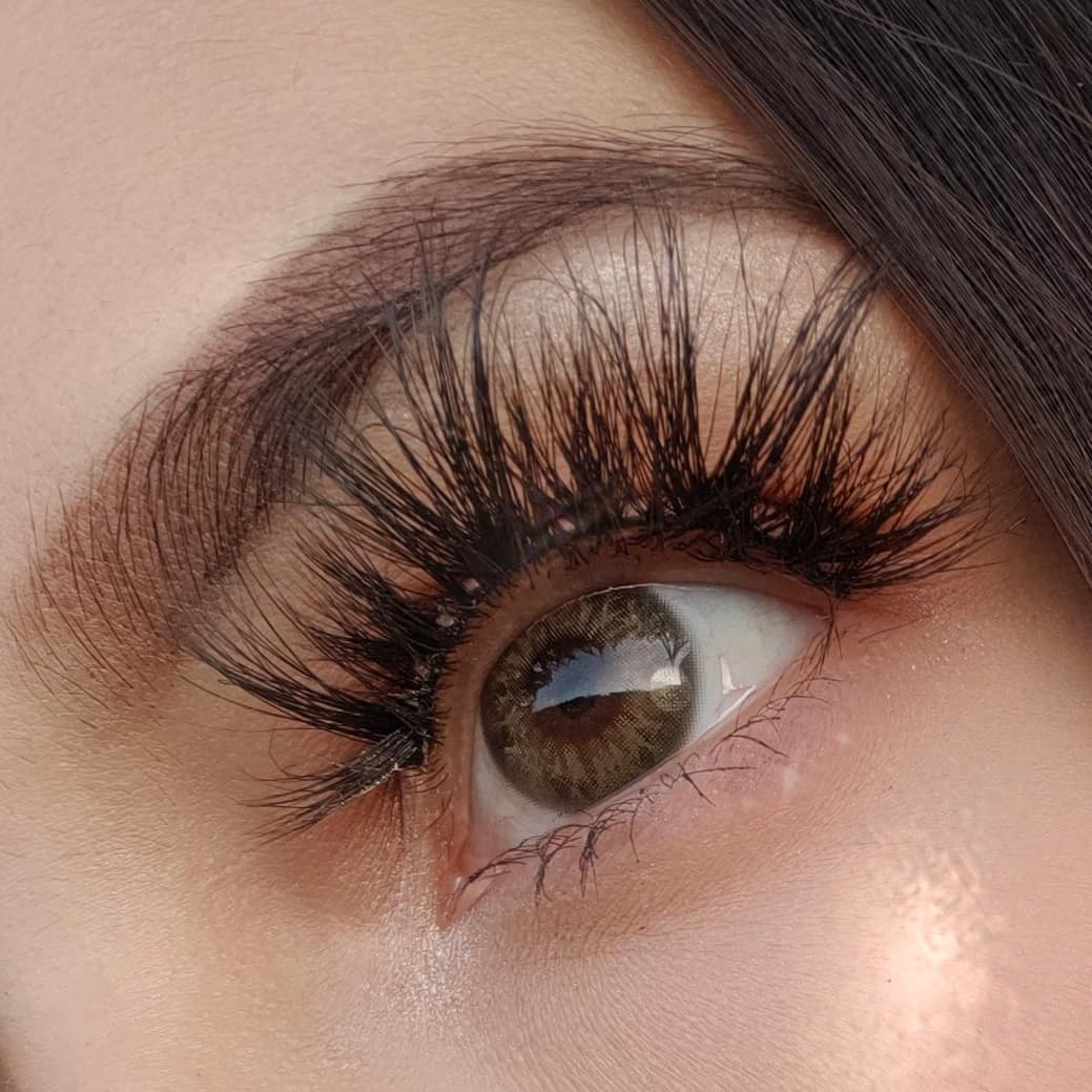 Taylor brown hazel