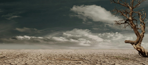 Eco-entrepreneur standing in nature, symbolizing responsibility to build sustainable solutions for climate change.