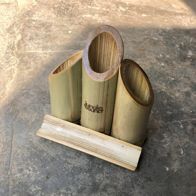 Bamboo Pen Stand
