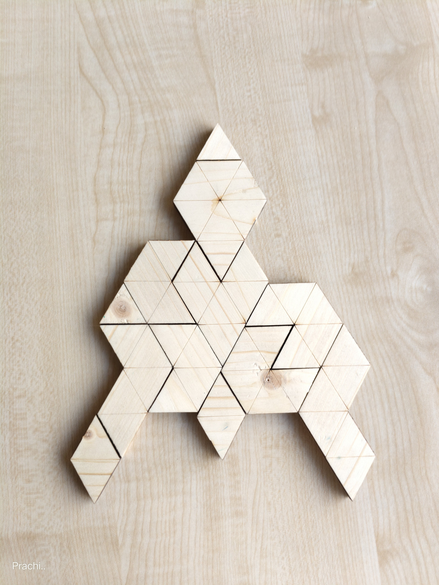 Wooden Educational Toy