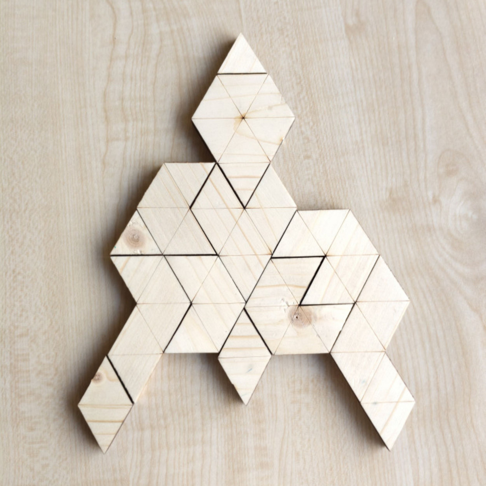 Wooden Educational Toy