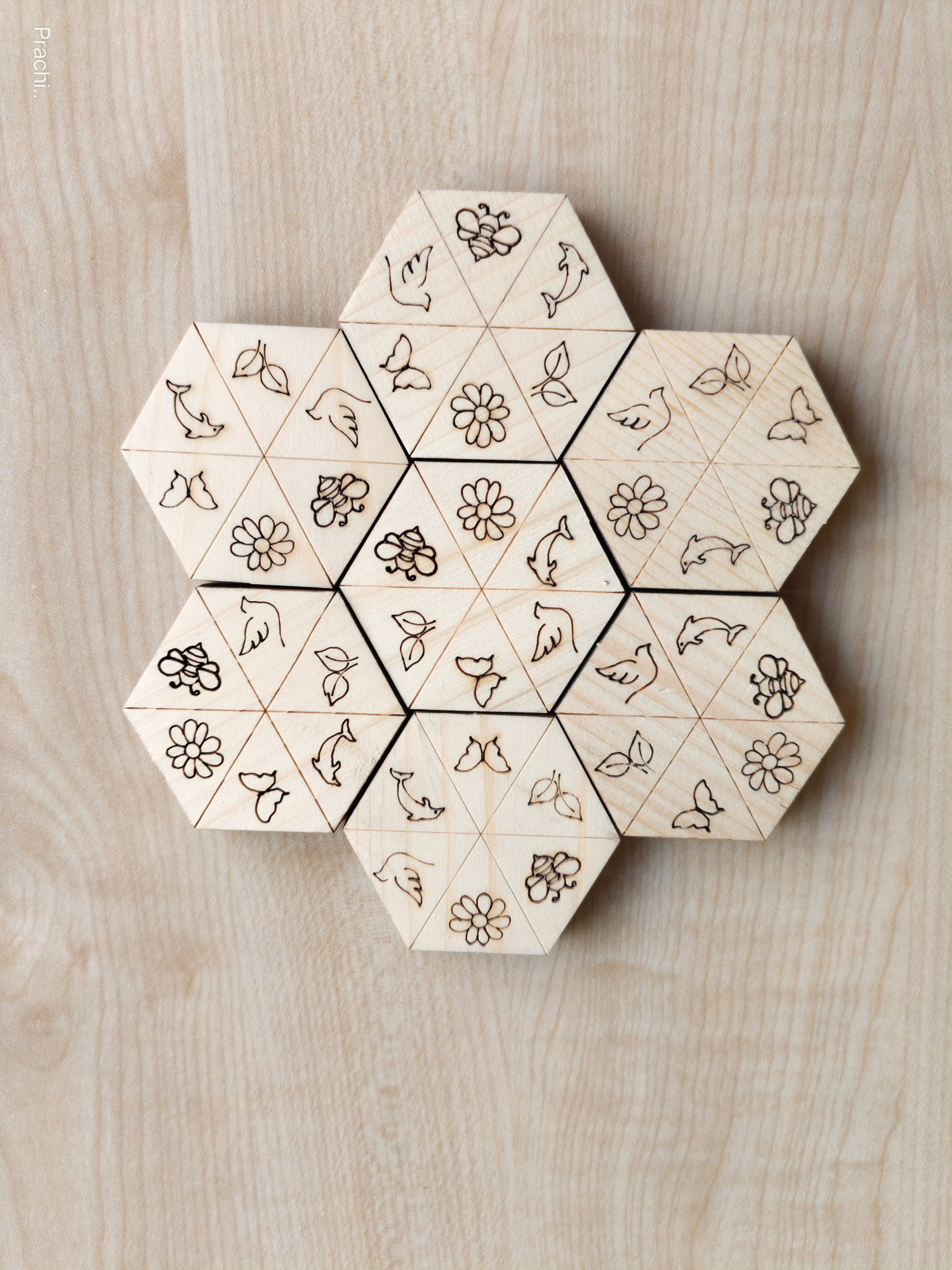 Wooden Brain Game