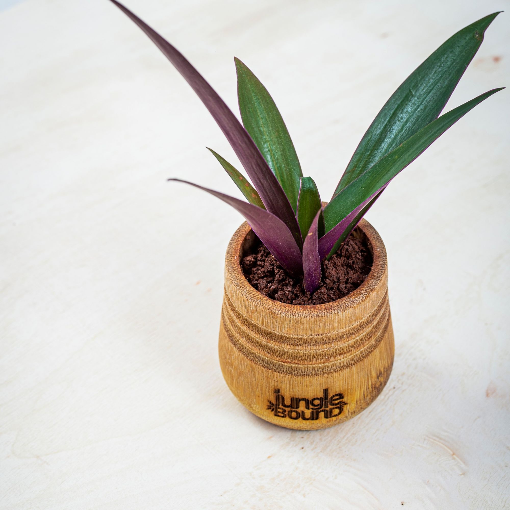 Bamboo Planter and Flower Pot