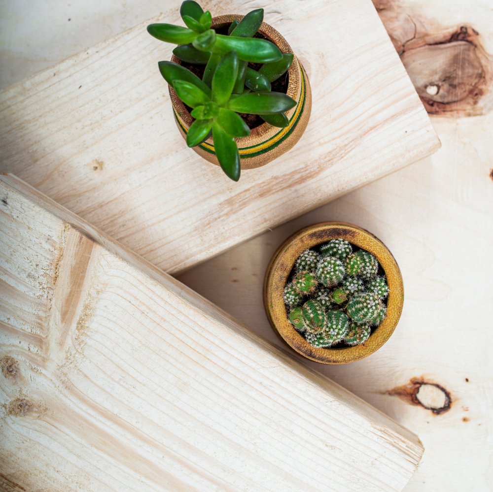 Image of Bamboo Planter and Flower Pot