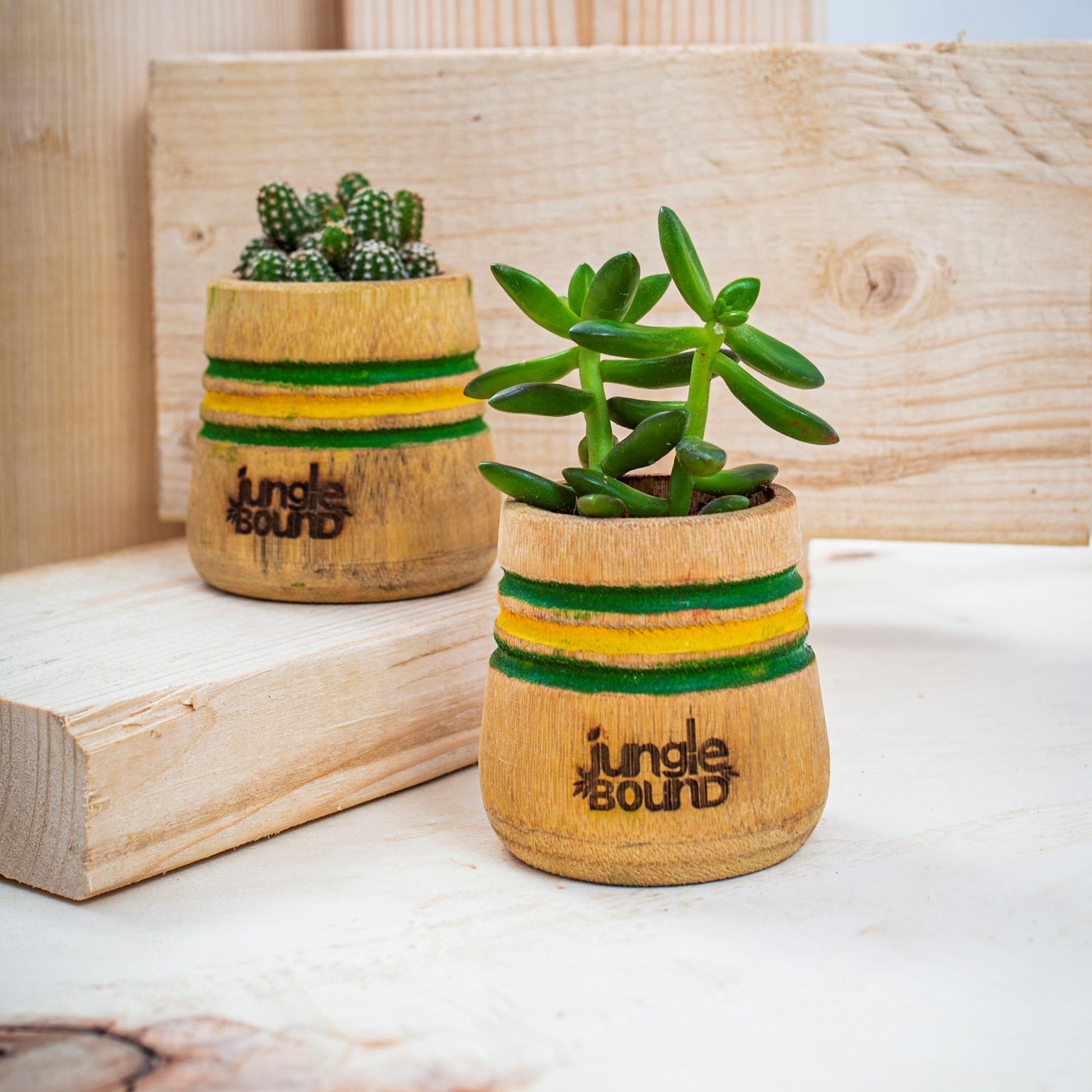 Bamboo Planter and Flower Pot