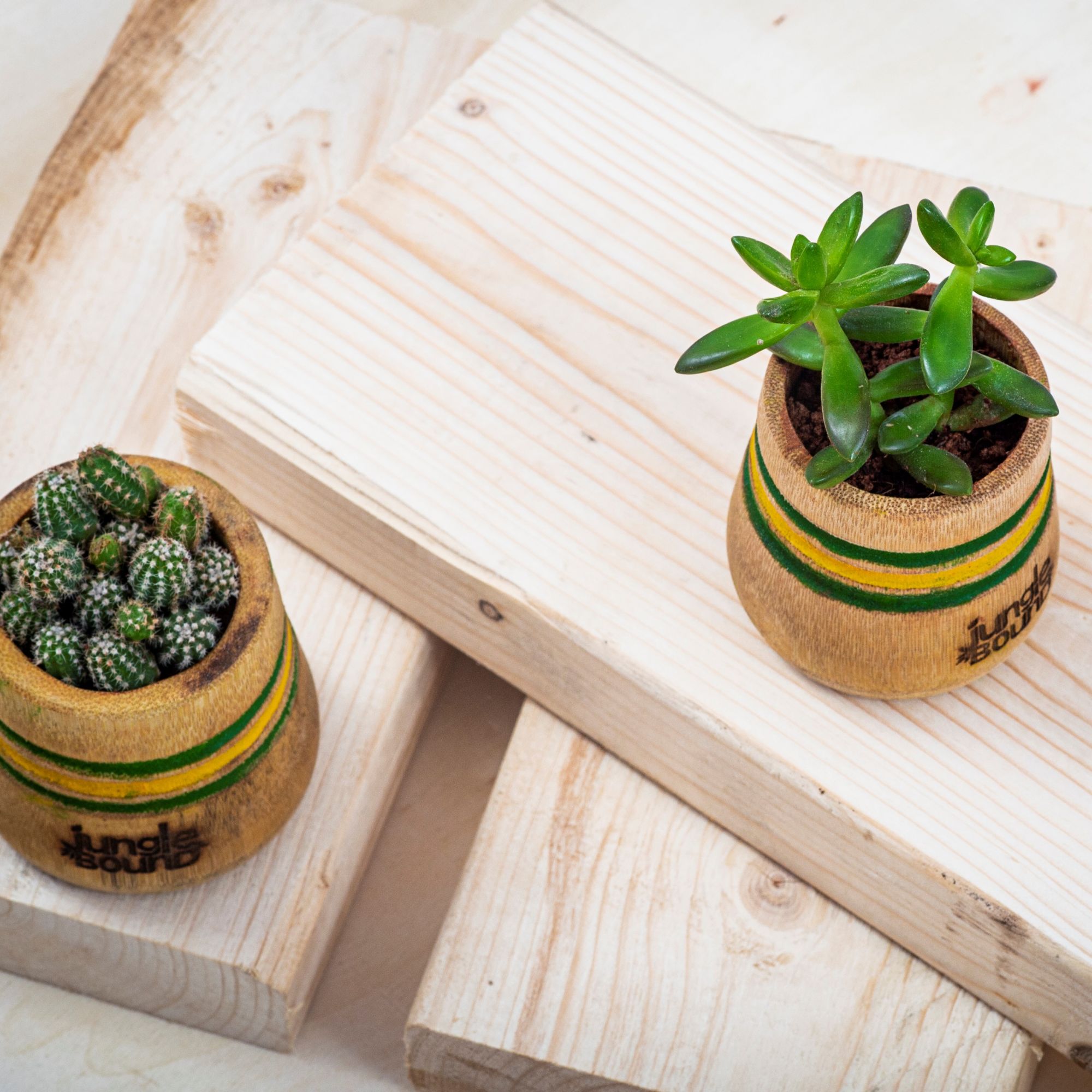 Bamboo Planter and Flower Pot