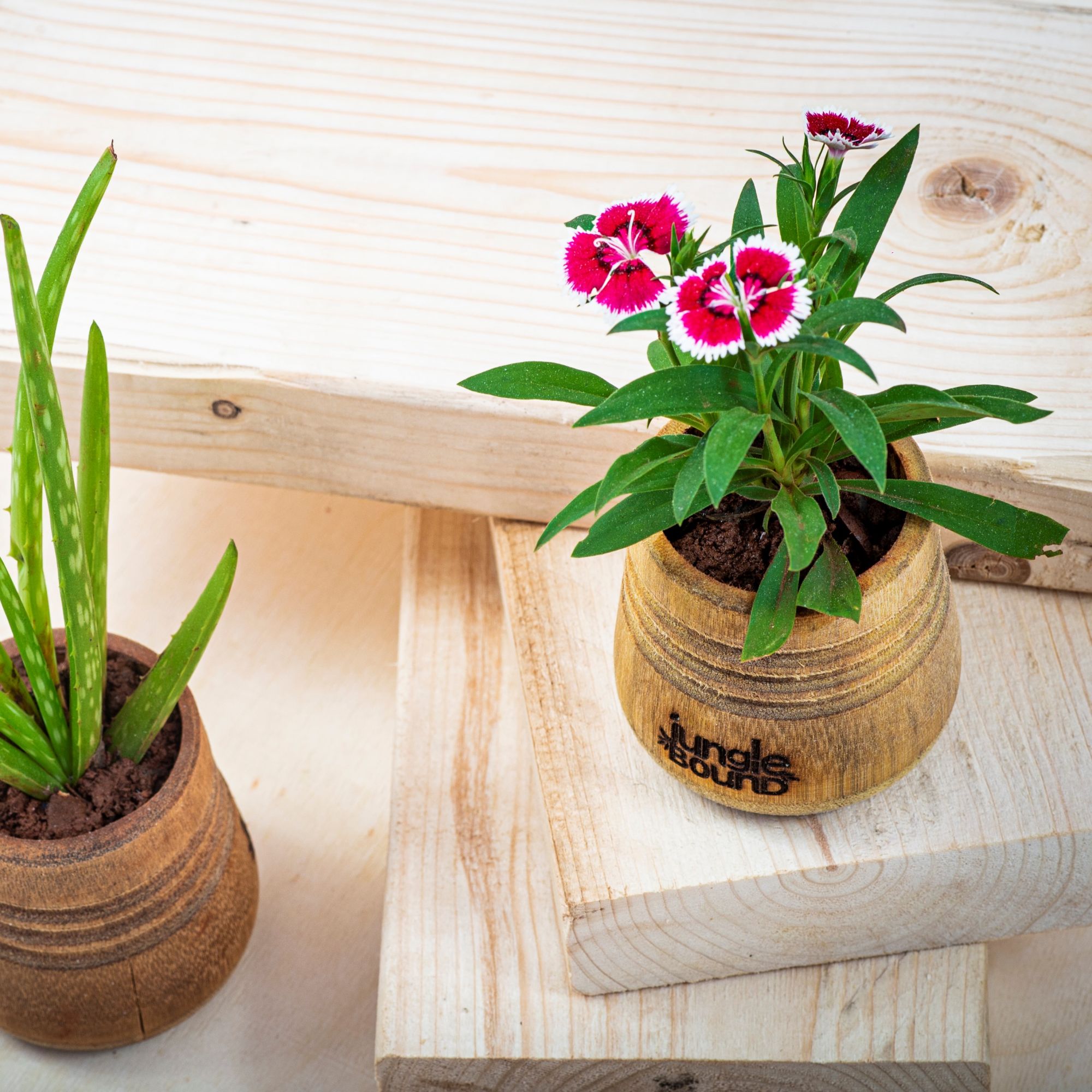 Bamboo Planter and Flower Pot